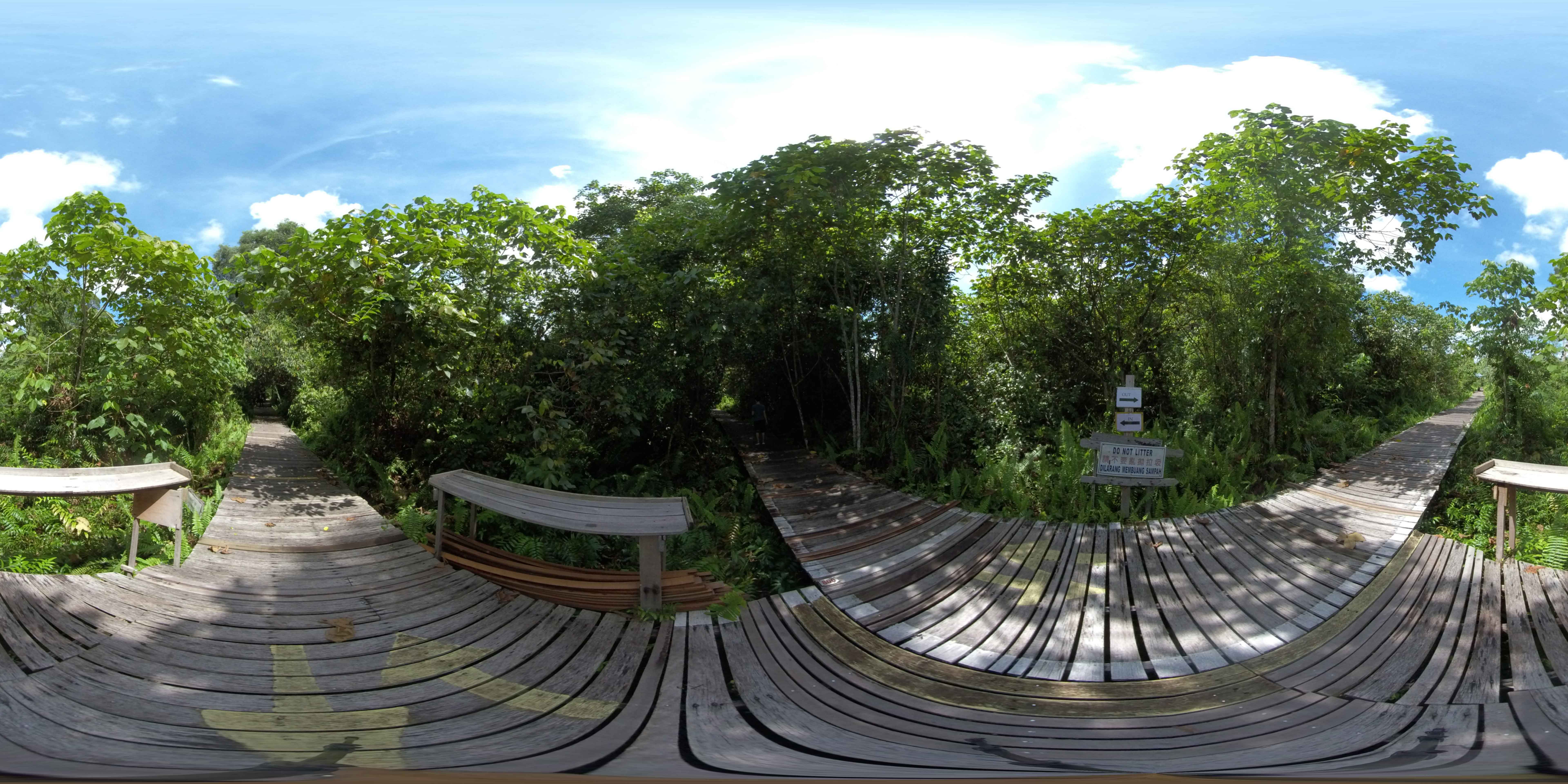 Bukit Lima Nature Reserve