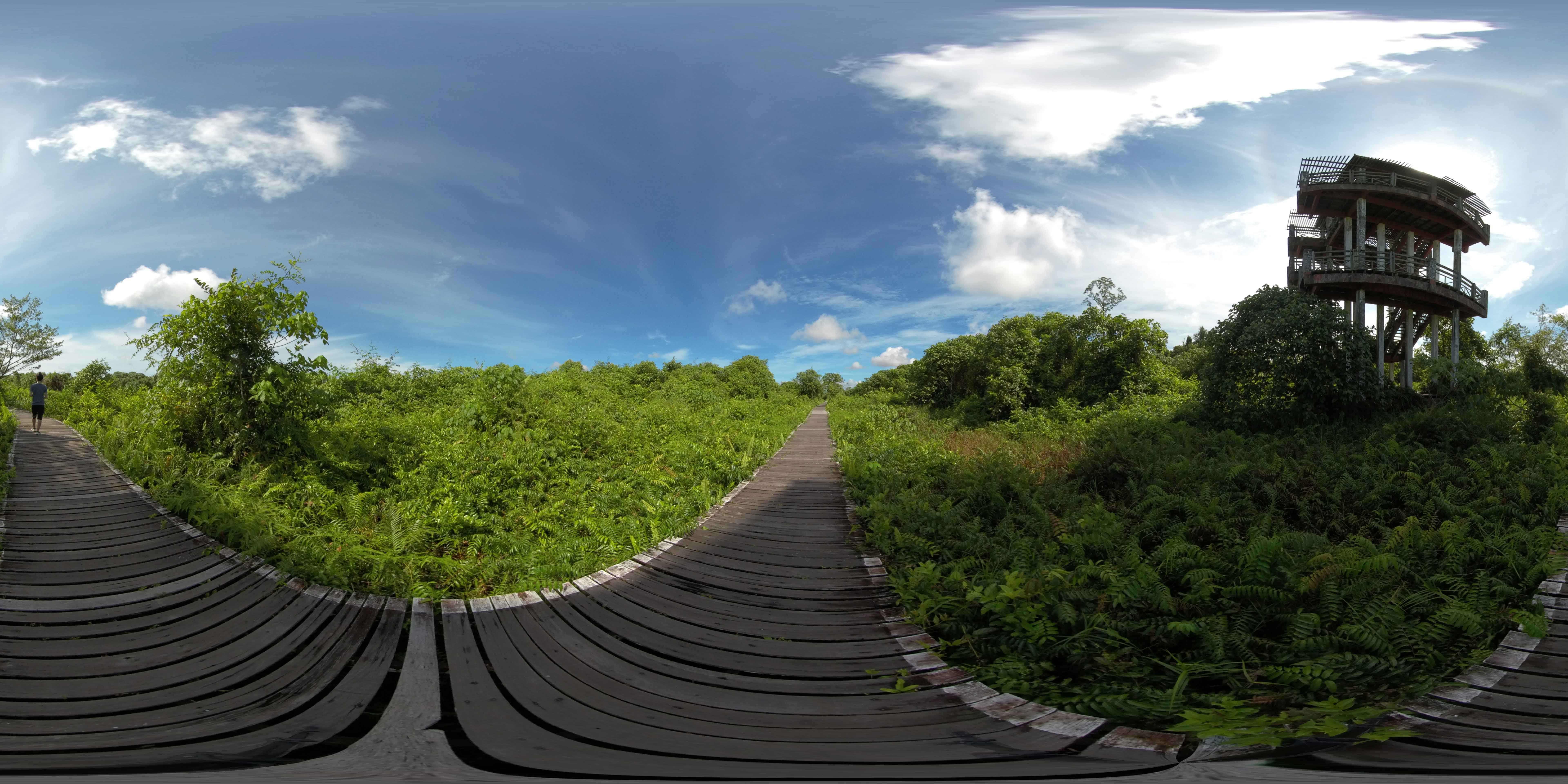 Bukit Lima Nature Reserve