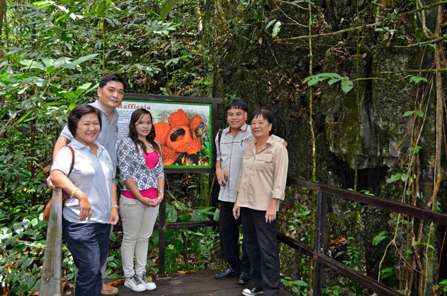 Rafflesia in Padawan