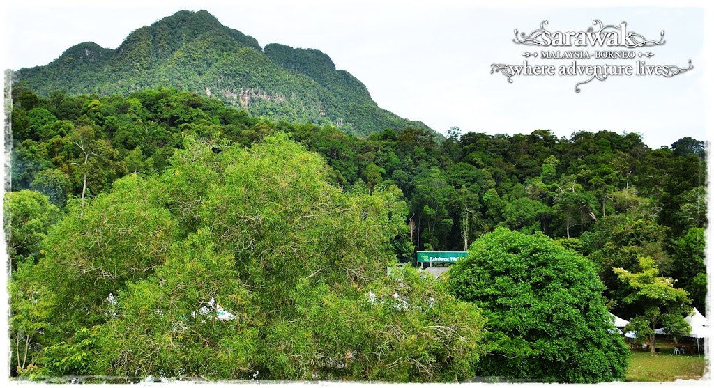 The jungle stage surrounded by trees in the foothill of Mt Santubong Damai Sarawak