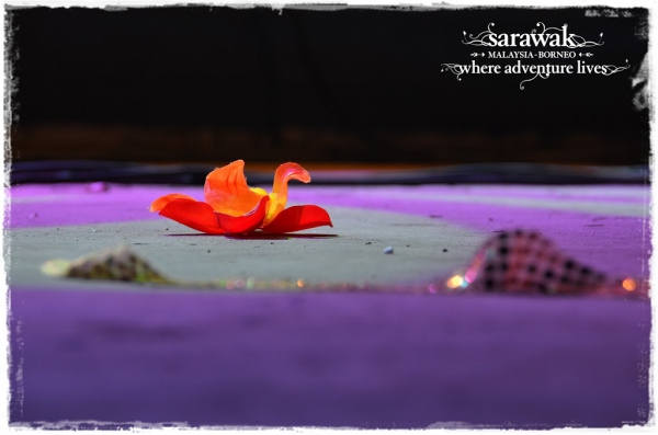 A flower left behind by a performer ... till we meet again in June 28-30 2013 