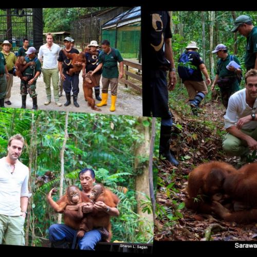 Ben Fogle’s Heart 2 Heart experience with orphaned orangutans
