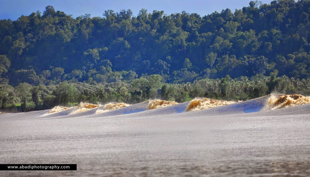 Big tidal bores cresting along the Batang Lupar Sri Aman | Abadi Photography