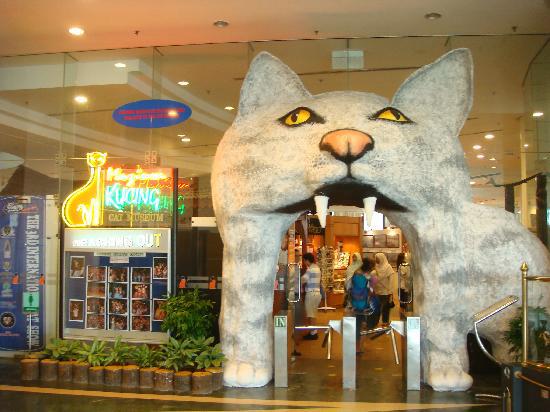 sarawak borneo kuching cat museum