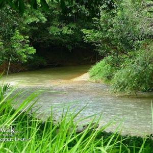 Rumh Nyuka longhouse river Ulu Sarikei