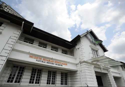 Kuching natural-history-museum