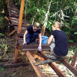 Volunteers in action Batang Ai National Park Orangutan programme