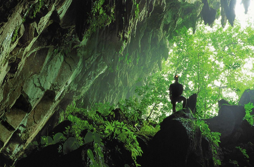 Sarawak Best Travel Destination for Nature