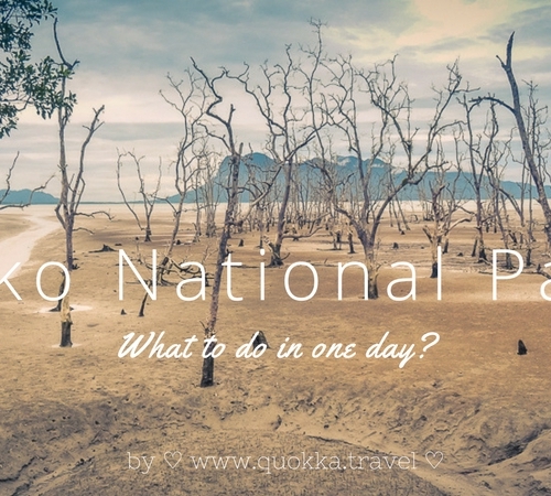 Bako National Park: what to do in one day?