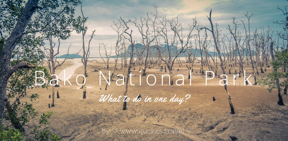 Bako National Park: what to do in one day?