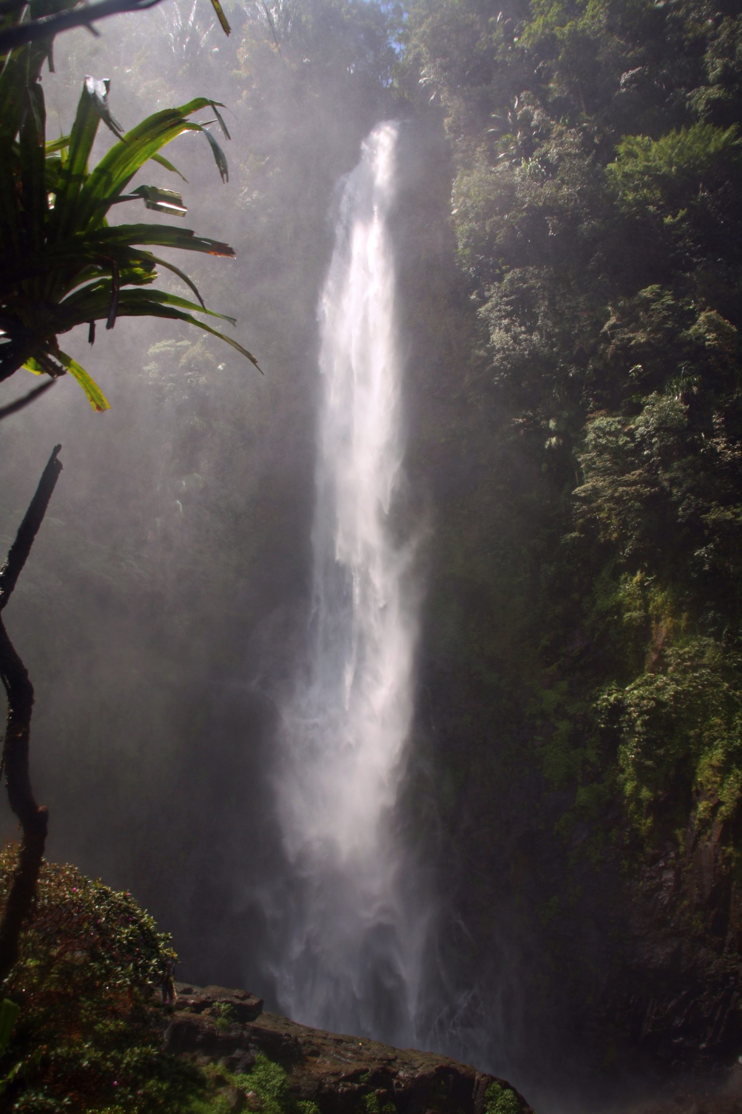 Trekking to Western Julan waterfall, the highest in Sarawak