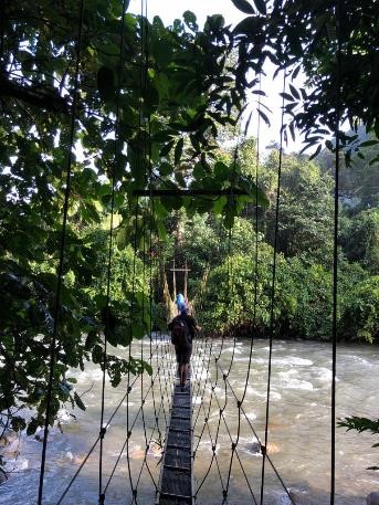 The Best of Mulu National Park