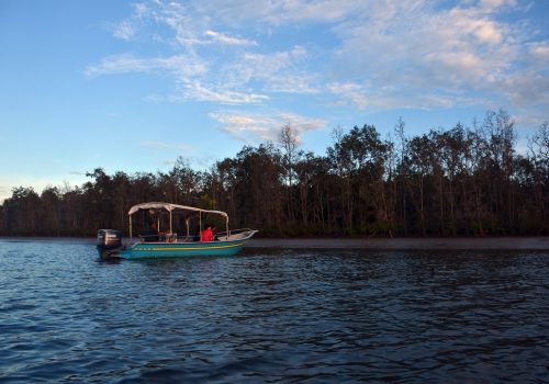 wildlife cruise kuching wetlands santubong from the boat