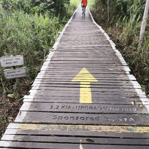 Bukit Lima Nature Reserve Trail