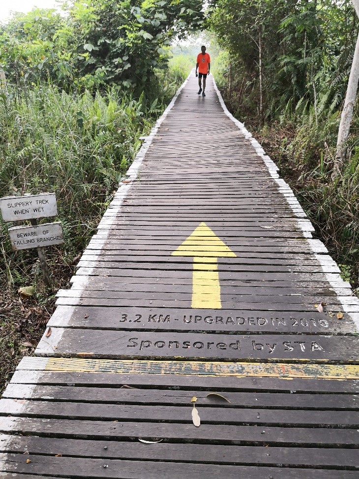 ブキット・リマ自然保護区 | Bukit Lima Nature Reserve