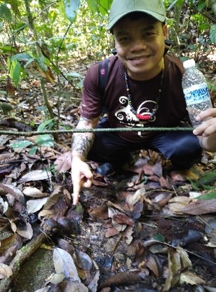 Rafflesia Kg Pueh