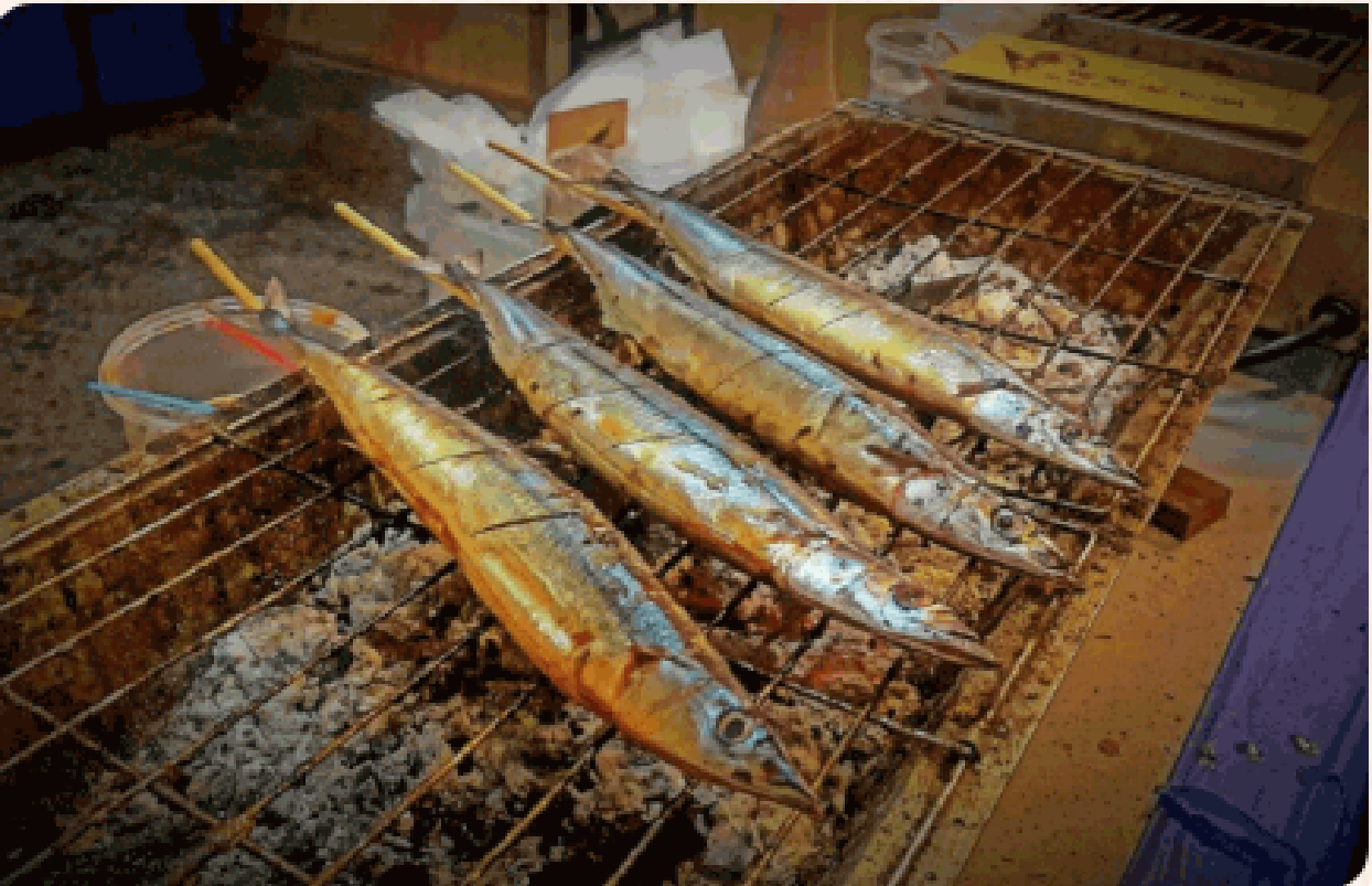Grilled saury 