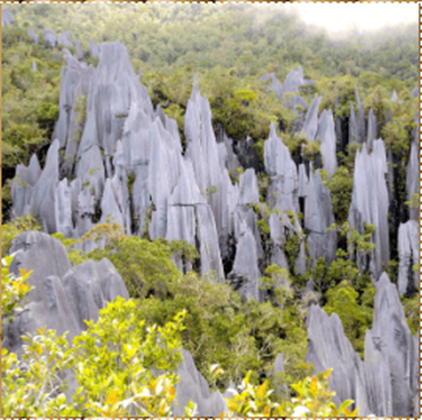  Pinnacles, Gunung Mulu National Park