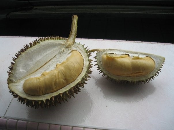 Sarawak’s wild durians