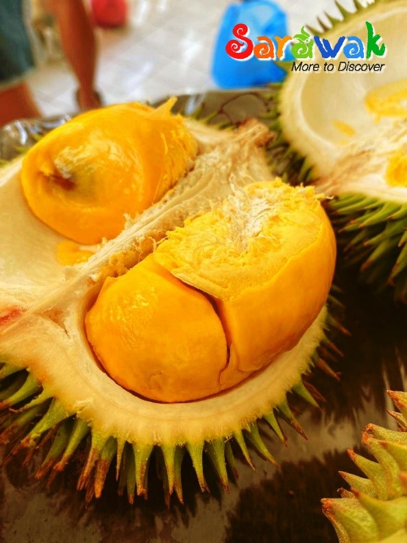 Durian pakan is a variety of wild durians that can be found in Sarawak. Picture: STB