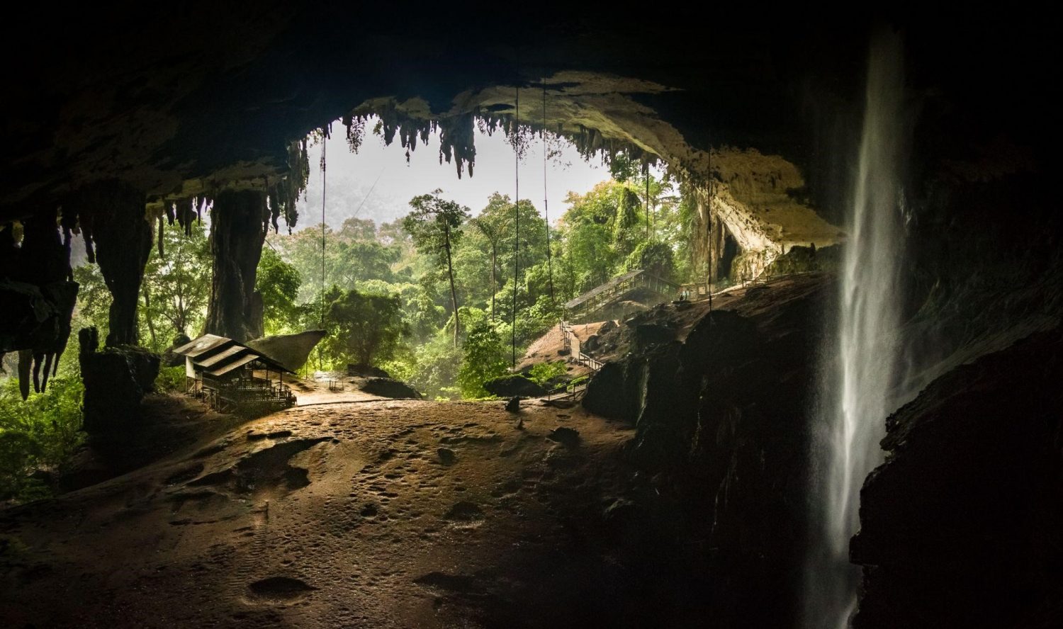 The spectacular scenery from inside Niah Caves.
